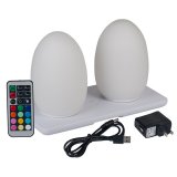 Wireless Induction Rechargeable LED Cordless Table Lamps - Egg 01 - Set of 2