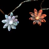 Battery Operated LED Christmas Lights - 4 Feet String of 10pcs Lotus