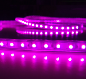 AC220-240V 1 Meter Length 5050 SMD Waterproof Rope Light Tape - Purple