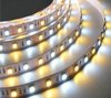 24V VCT LED Strips