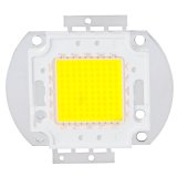 100W LEDs