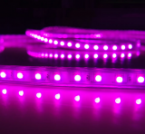 LED Lysslange Diodelys, SMD 5050 Dioder, Lilla, 1 Meter