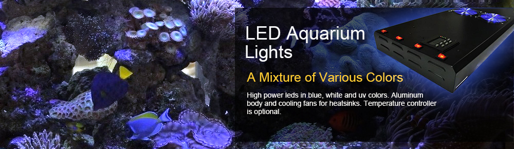 LED Aquarium Lighting