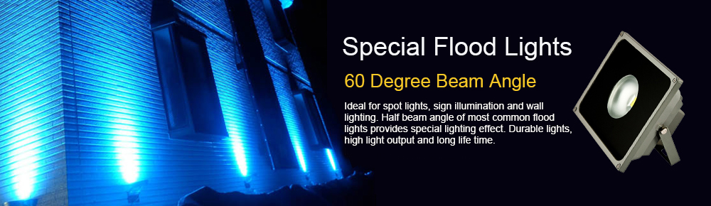 60 Degree Floodlights