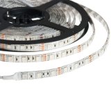 10M 32.8FT - 2x 5M LED Strip Lights - RGB Multicolor - 12V DC - 72W - IP65 10M 32.8FT - 2x 5M LED Strip Lights - RGB Multicolor - 12V DC - 72W - IP65